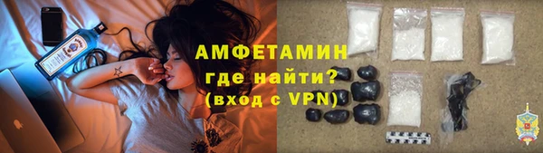 твердый Инсар