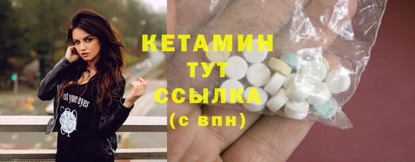 твердый Инсар