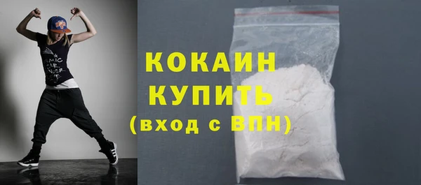 твердый Инсар