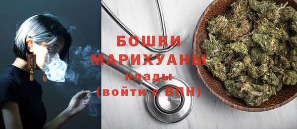 твердый Инсар