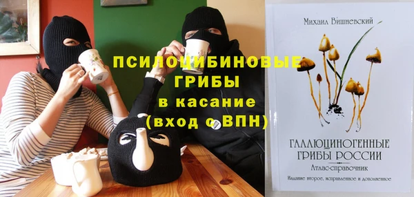 МДПВ Каменка